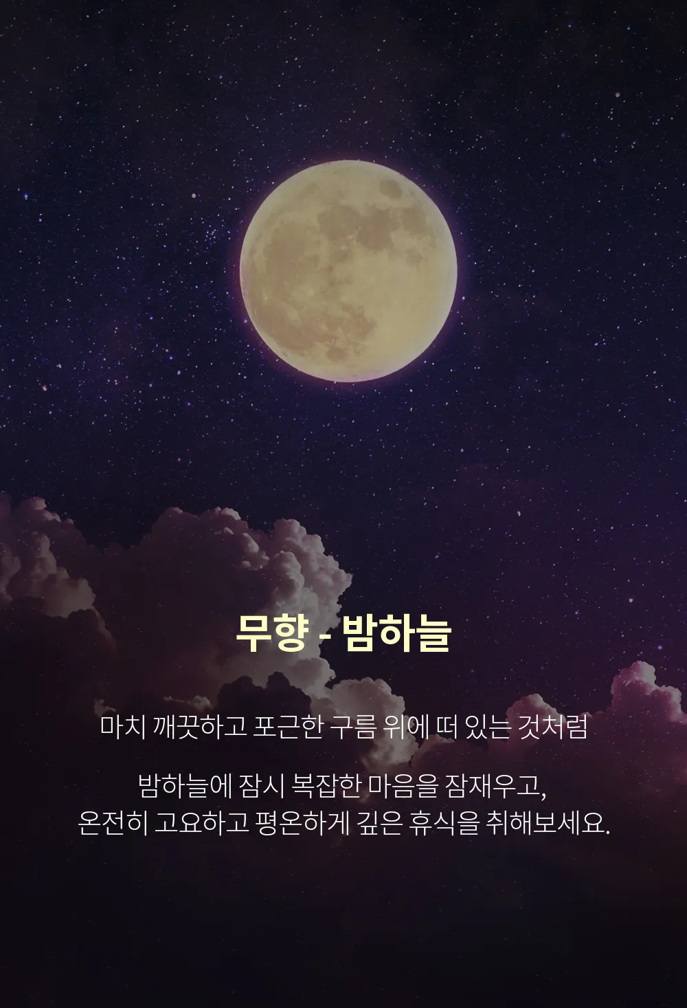 점퍼 -S12L4