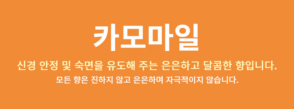 화장품 -S1L29