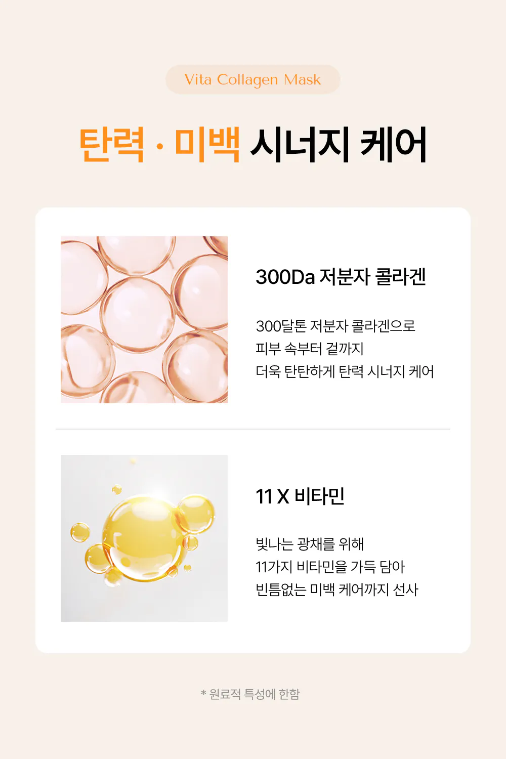 제품 소개-비타