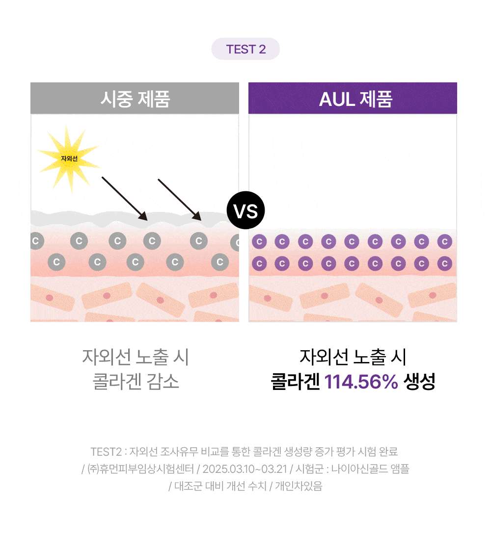 공통_원료 임상 포인트1-4