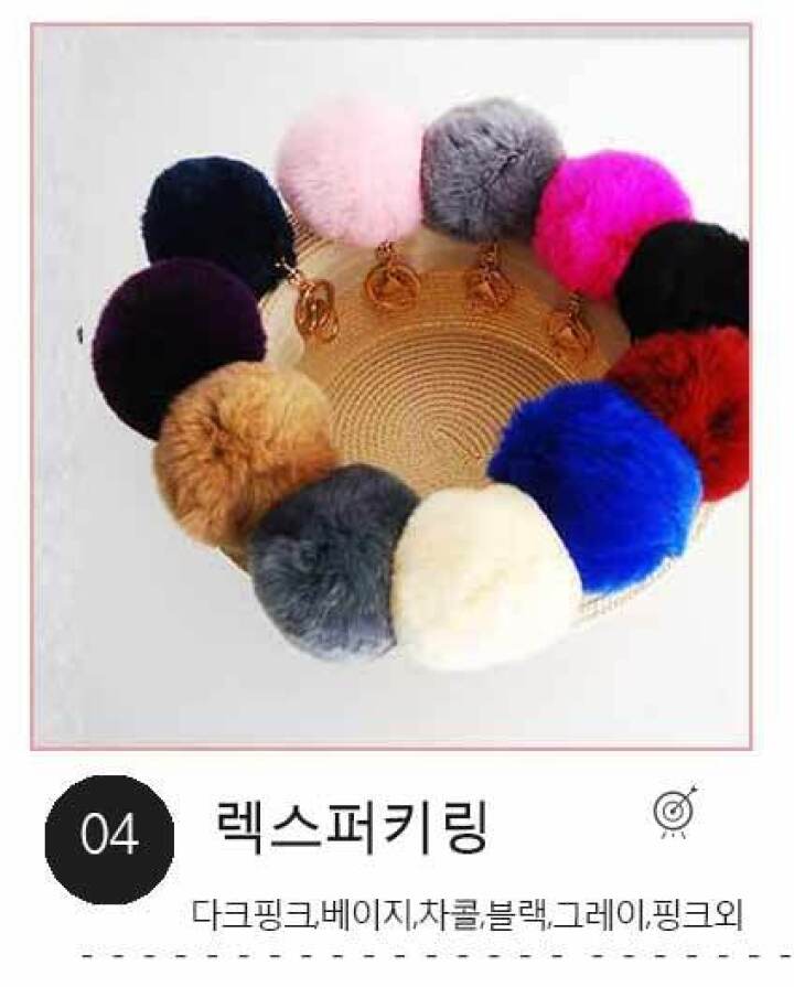 4.렉스퍼키링
